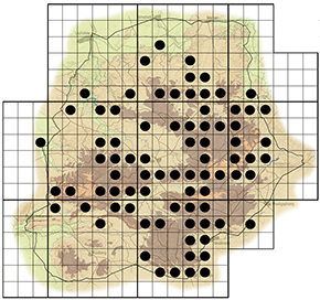Brachylaena rotundata Waterberg distribution